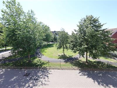 Picture 9